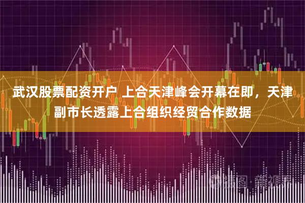 武汉股票配资开户 上合天津峰会开幕在即,天津副市长透露上合组织经贸合作数据