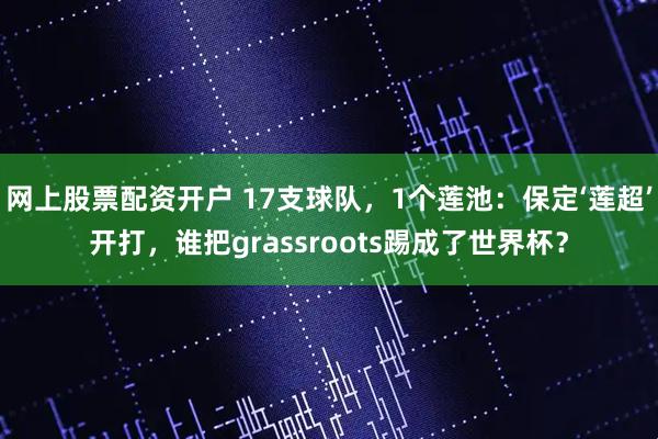 网上股票配资开户 17支球队，1个莲池：保定‘莲超’开打，谁把grassroots踢成了世界杯？