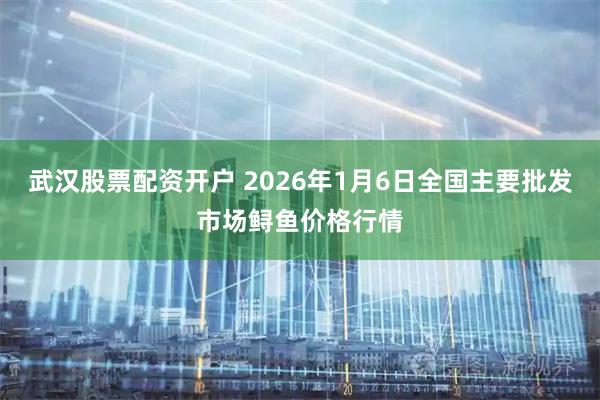 武汉股票配资开户 2026年1月6日全国主要批发市场鲟鱼价格行情